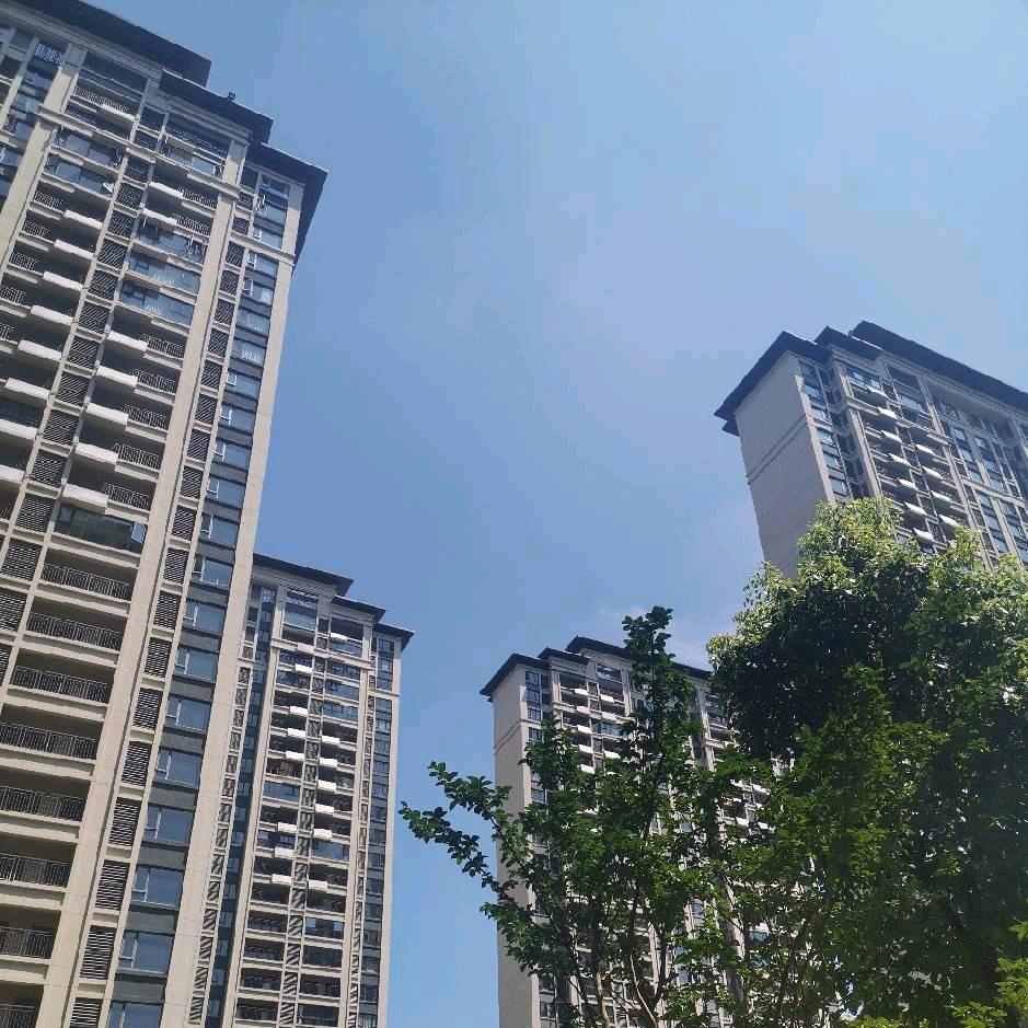 🇨🇳付先生（单亲爸爸）