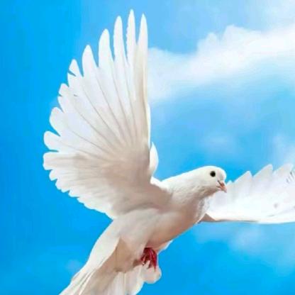 四老板‼️‼️‼️