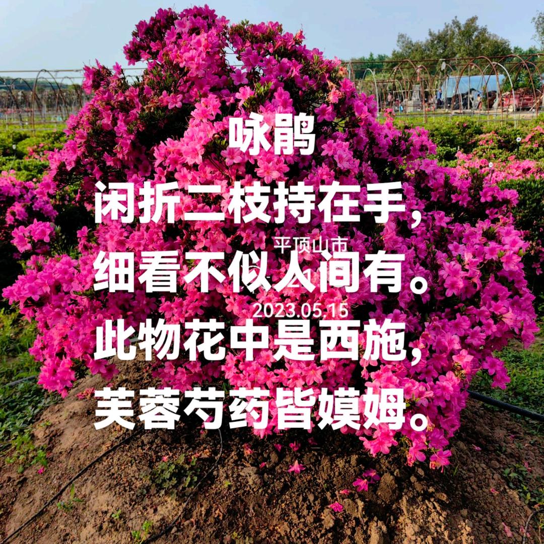 你好九月