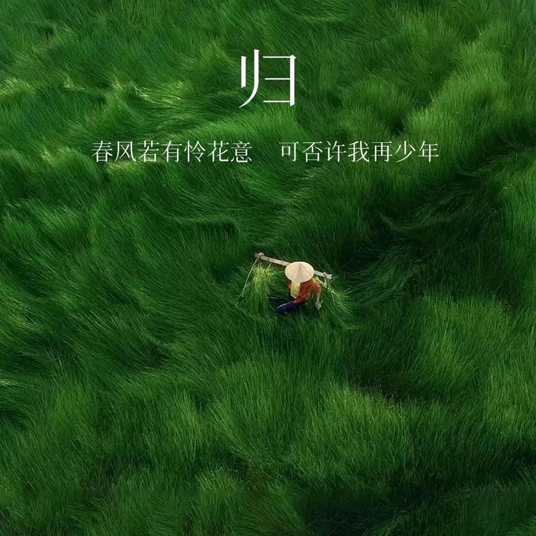 是帅哥呀