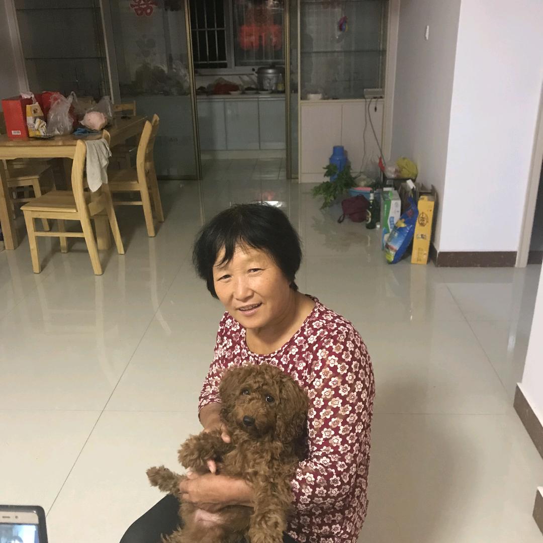 张老6