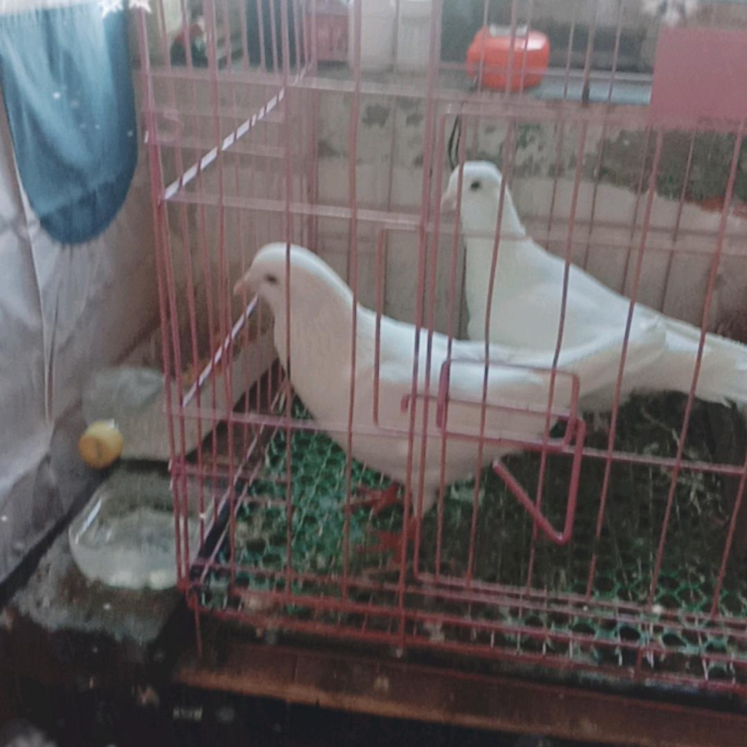 用户7235565094558