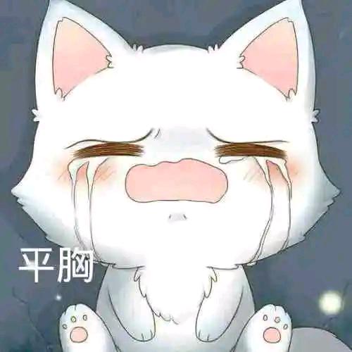 旭旭乀