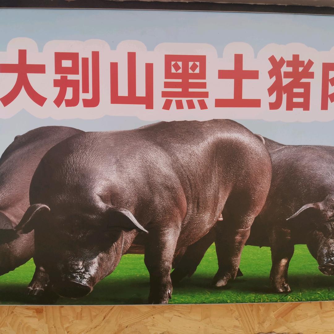 原生态黑猪肉