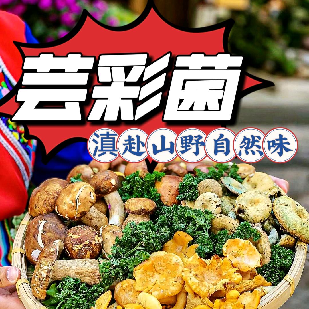 芸彩菌