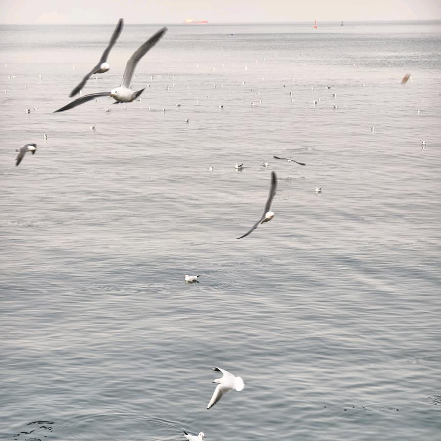 🇨🇳信念☀️