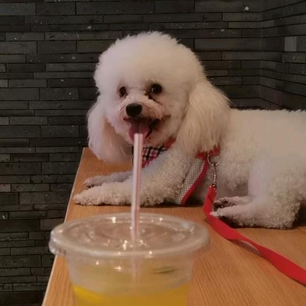 思念璐颖