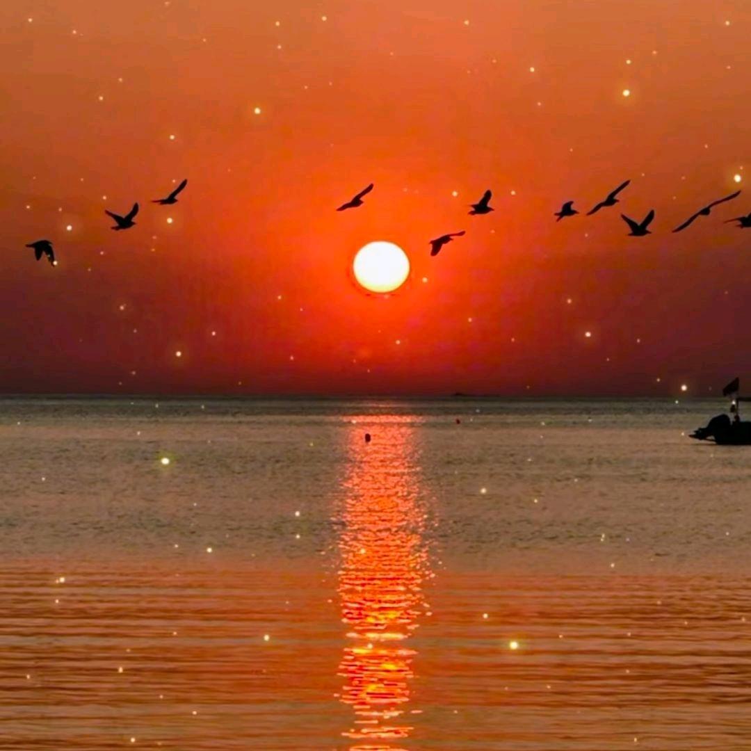 《🇨🇳顺风顺水 🇨🇳》