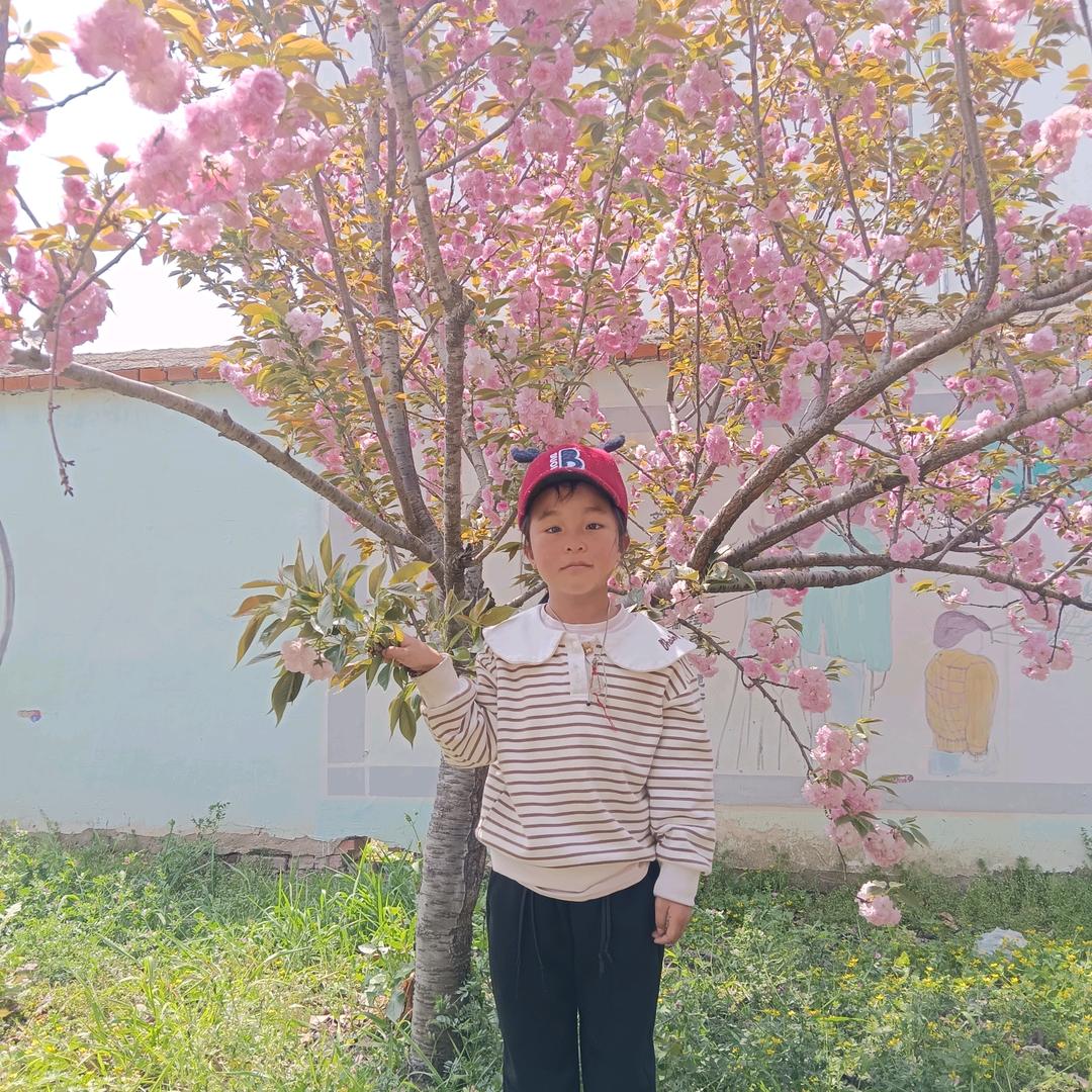 🌺 云南四꧔ꦿ᭄季如春💞²⁰²³