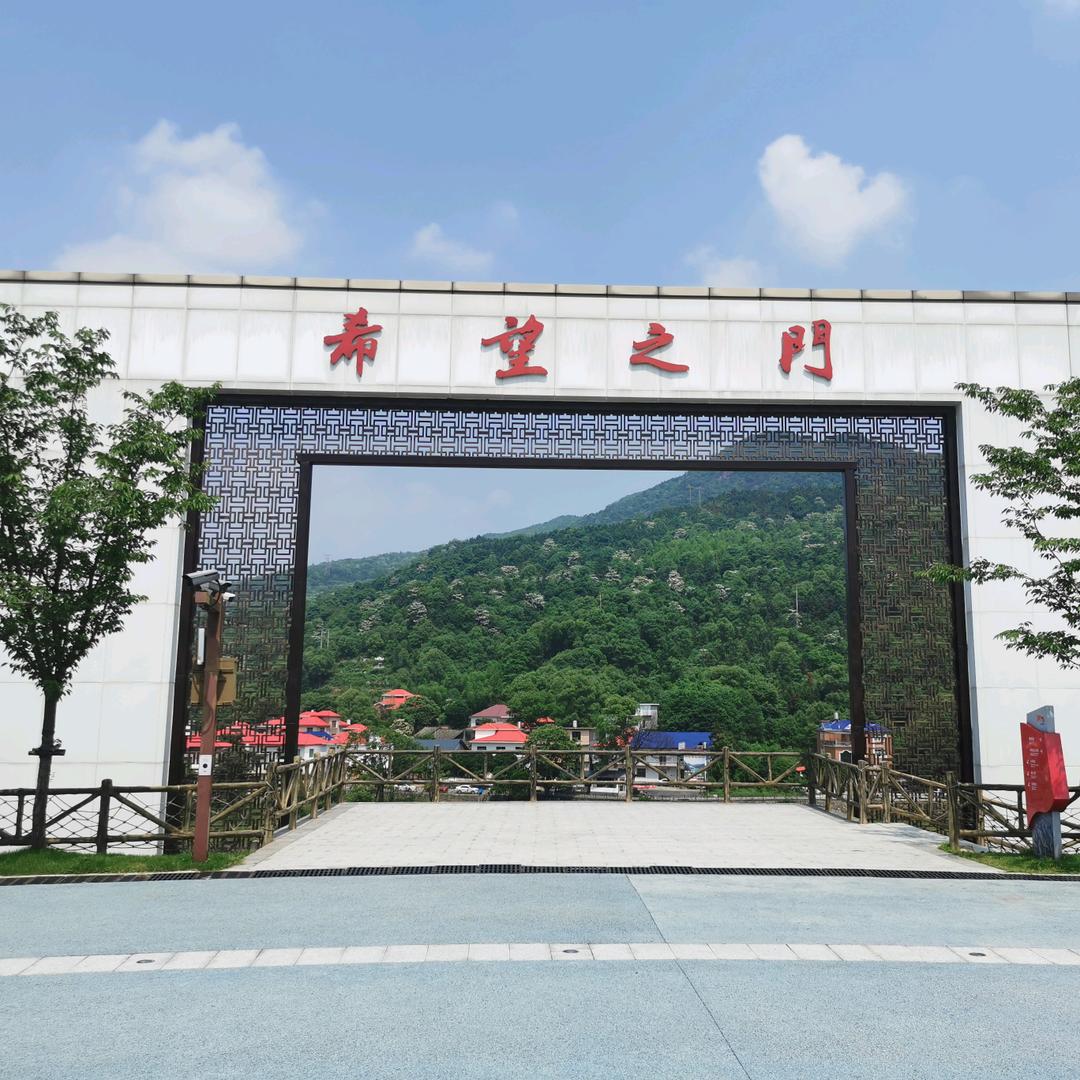 贫僧法号乱来