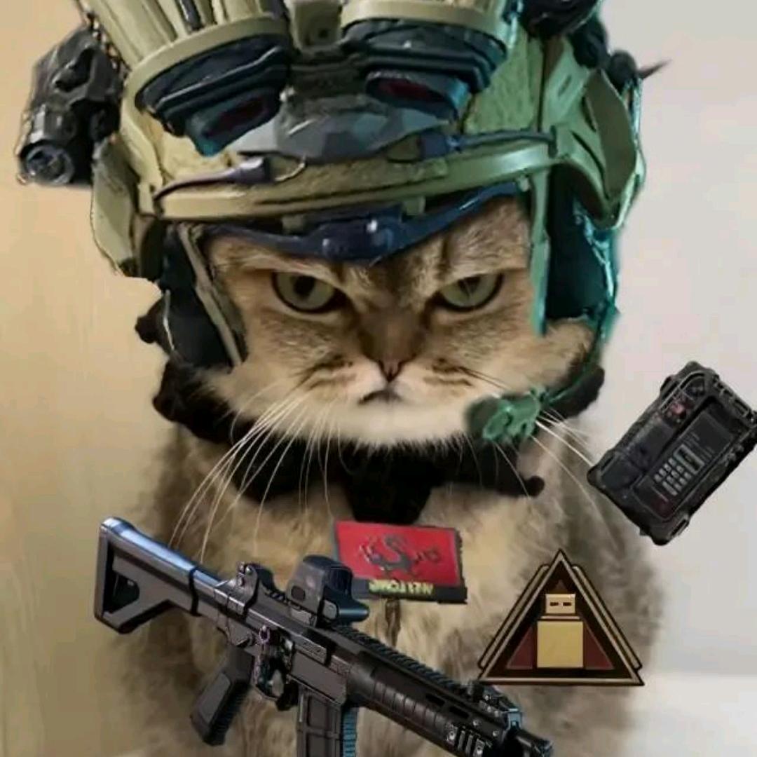 达令（三角洲行动）