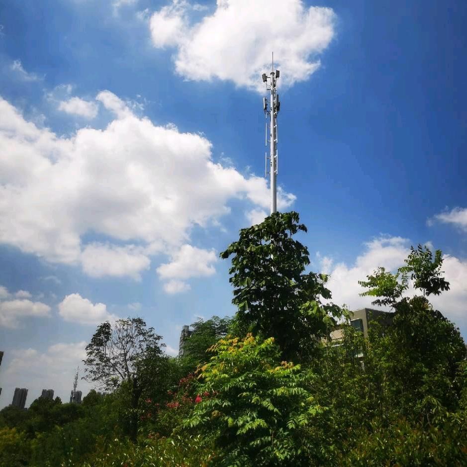 系统门窗、玻璃幕墙