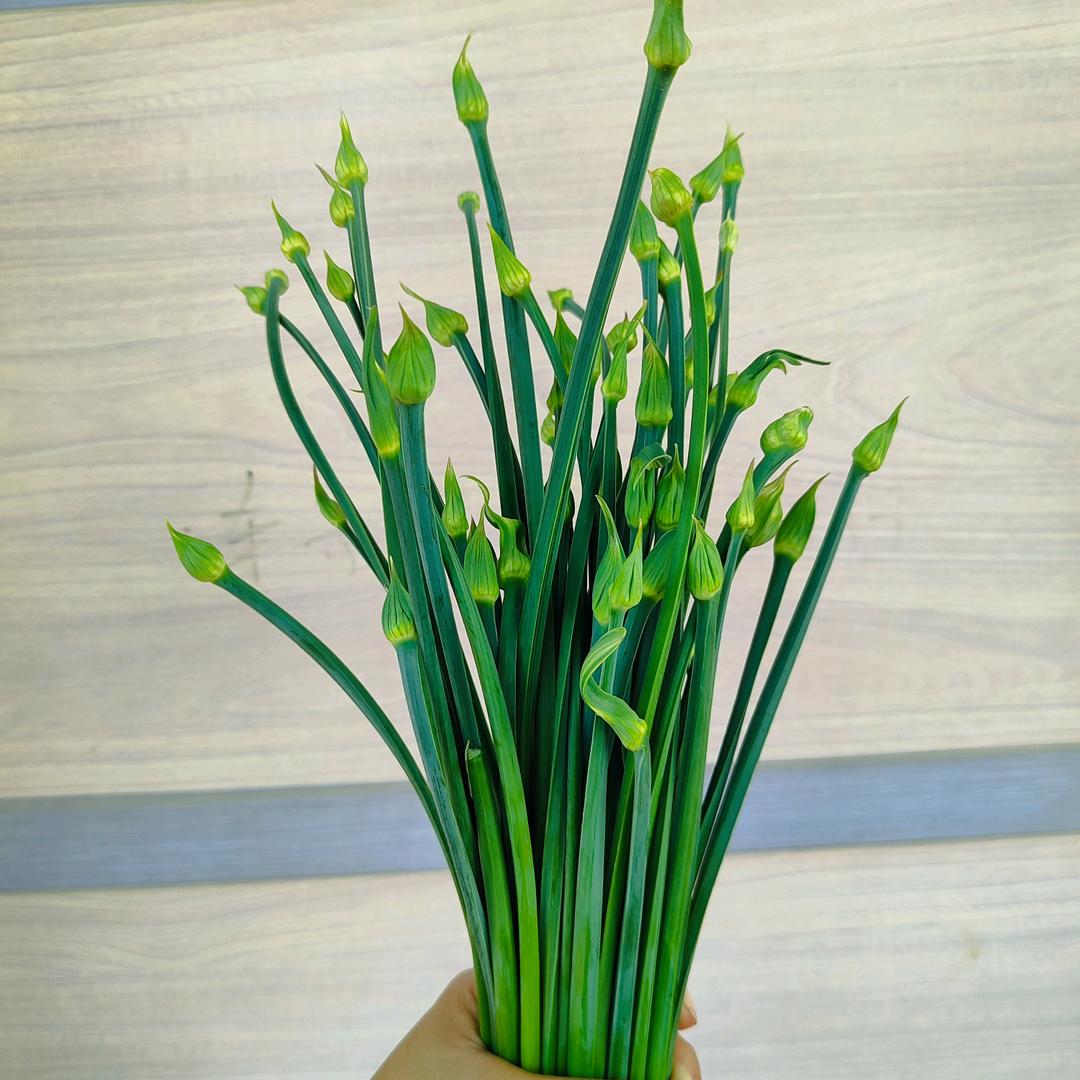 青迃欣