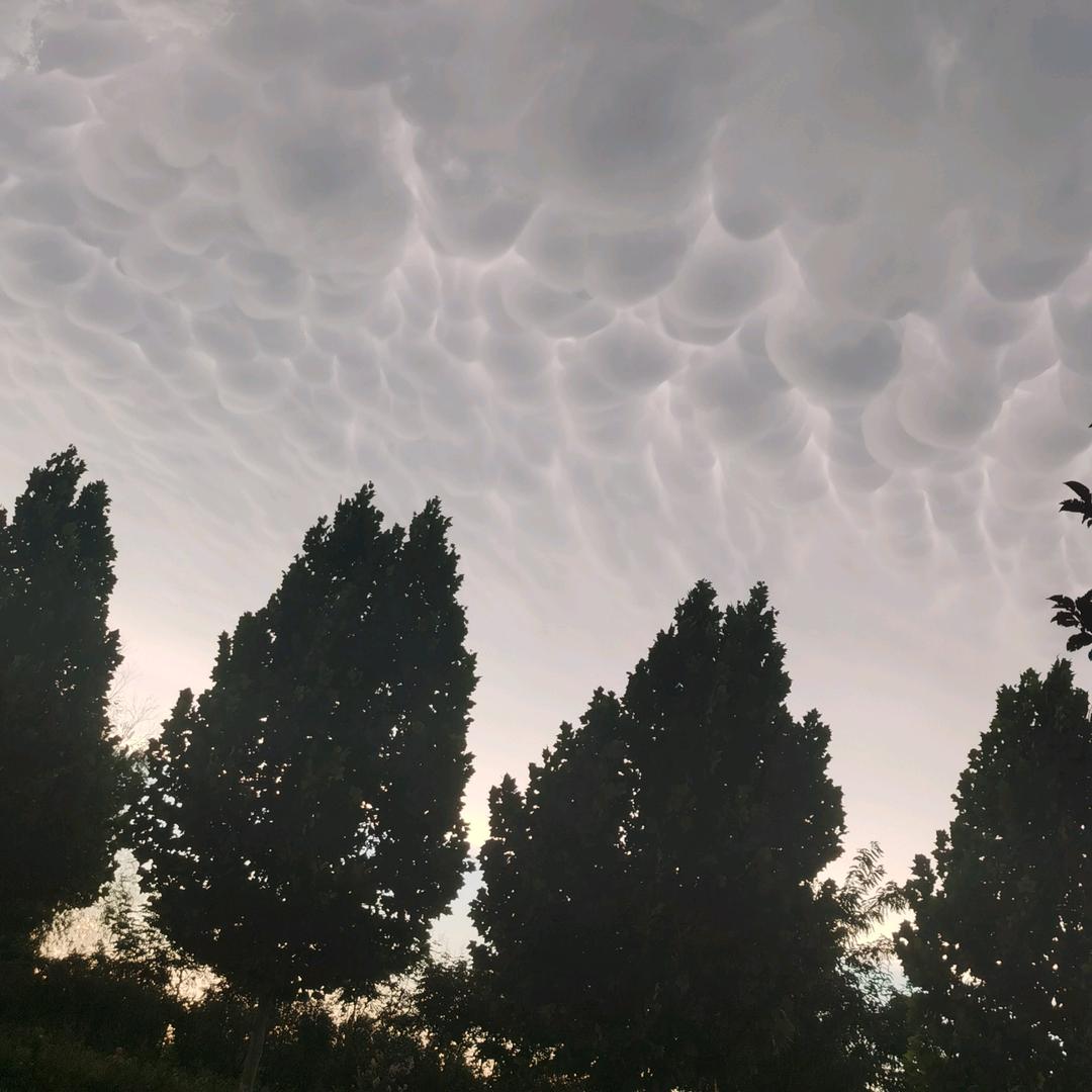 朱龙（向年底冲刺）