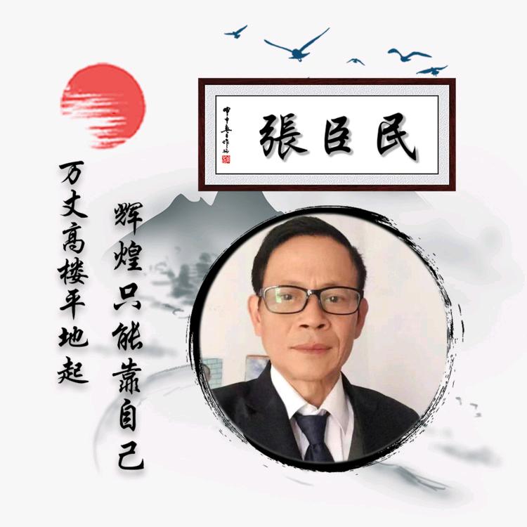 安徽淮南《張臣民》