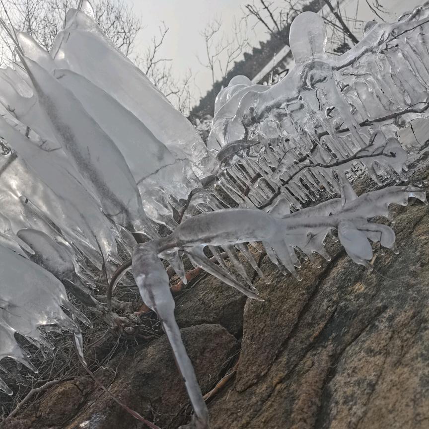 拾荒～的～乞丐