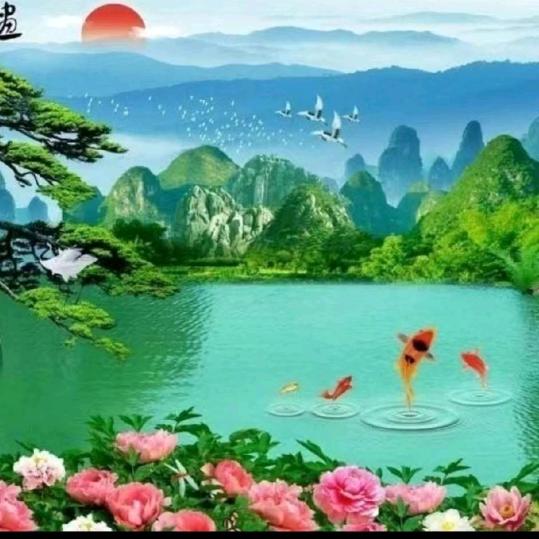丰羽34768