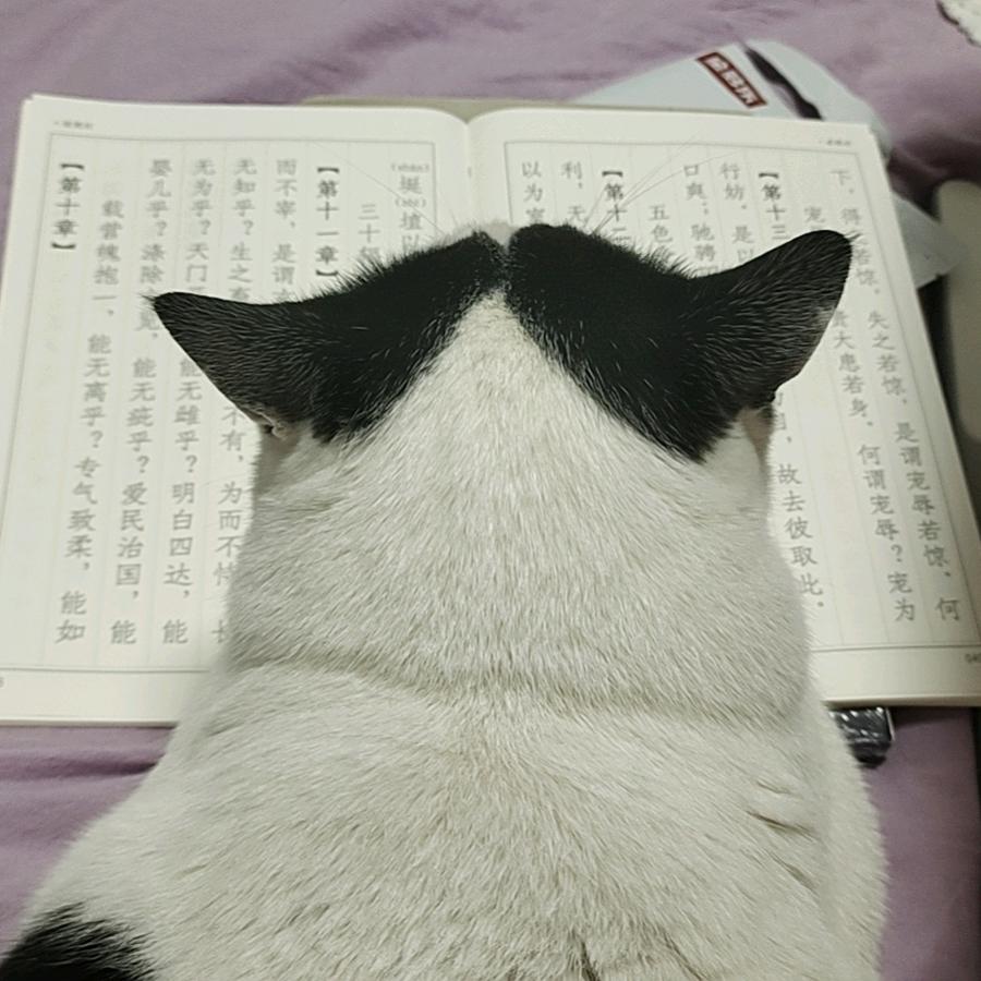 水姐日常