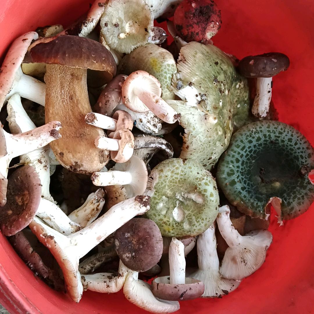 甜甜一笑解千愁