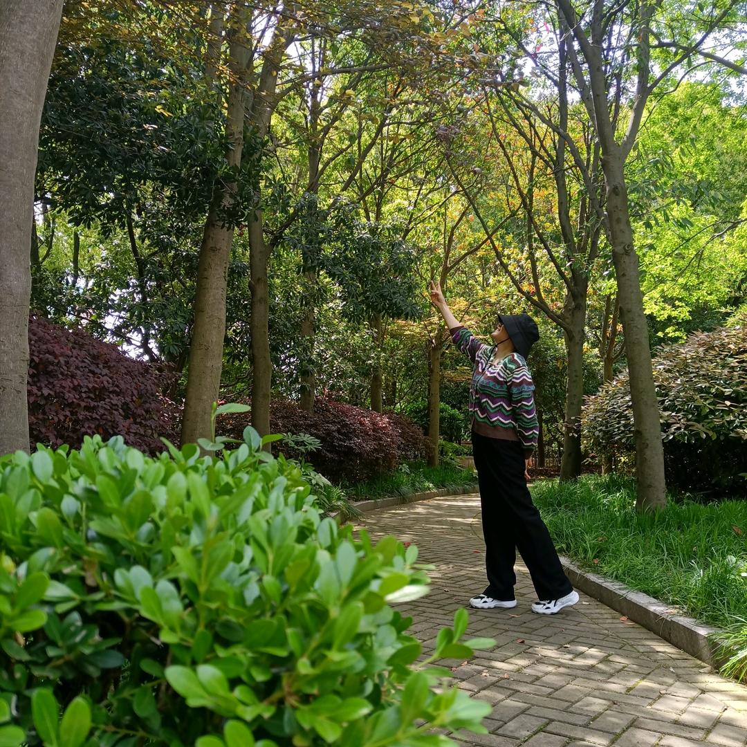 乐悠悠