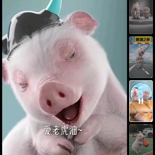 一只猪🐖
