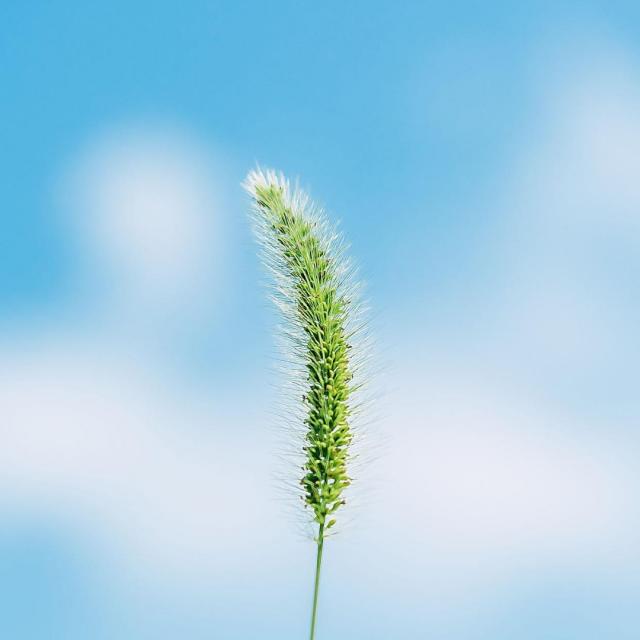 就是玩儿