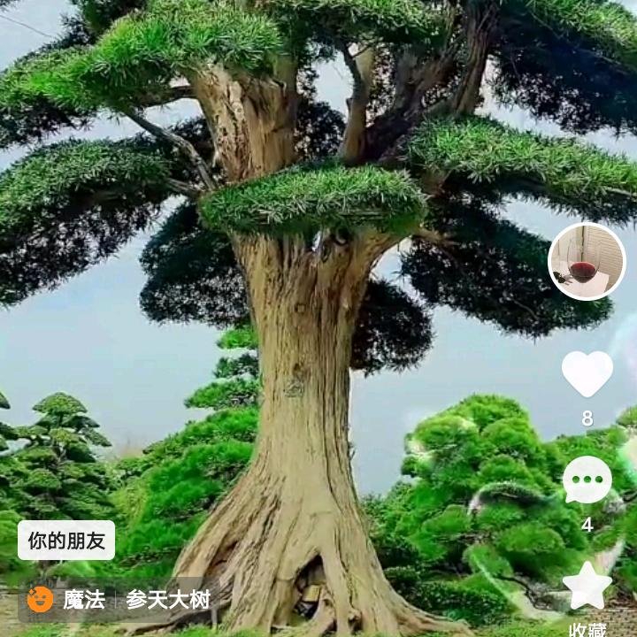 渠哥