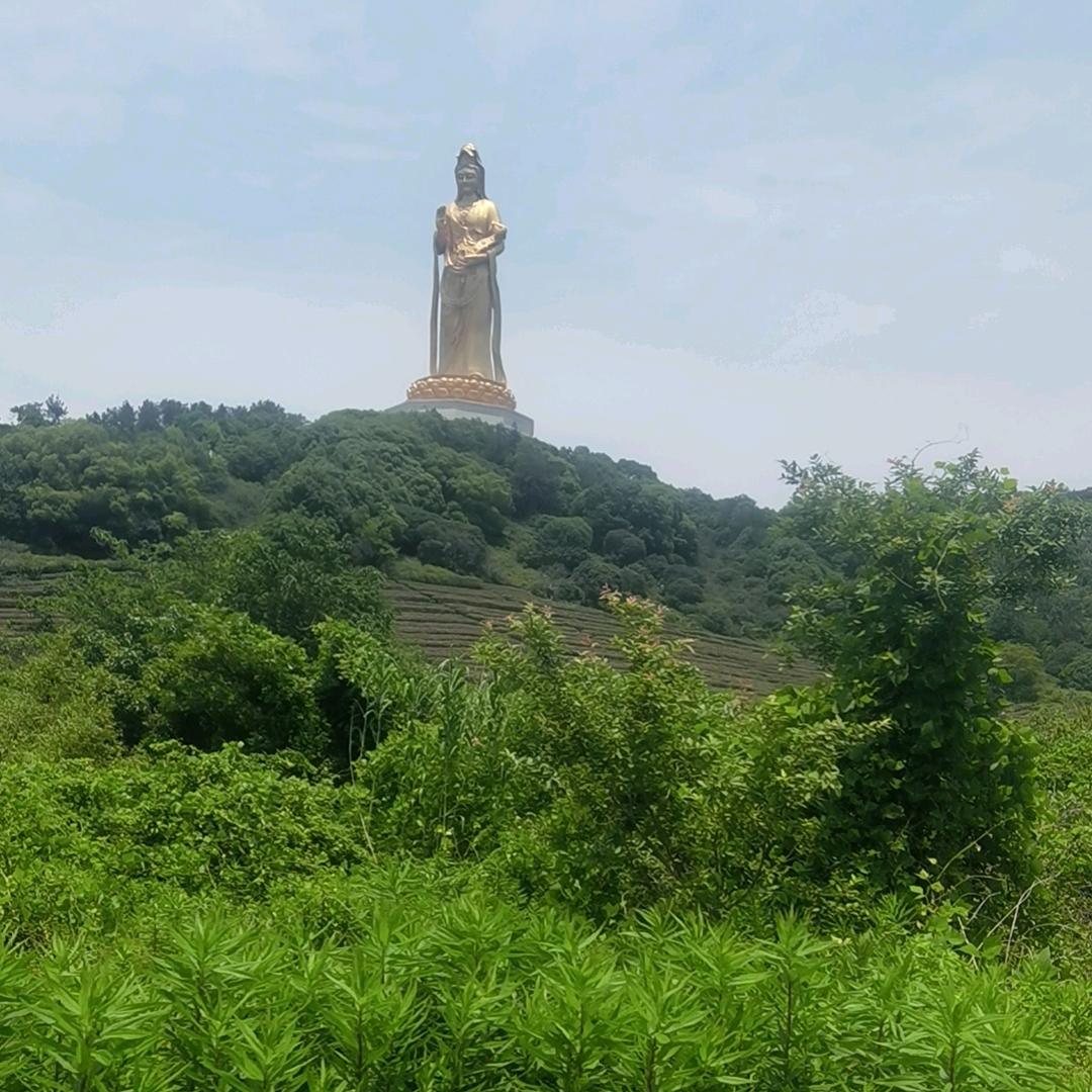 万府（龙凤堂）3