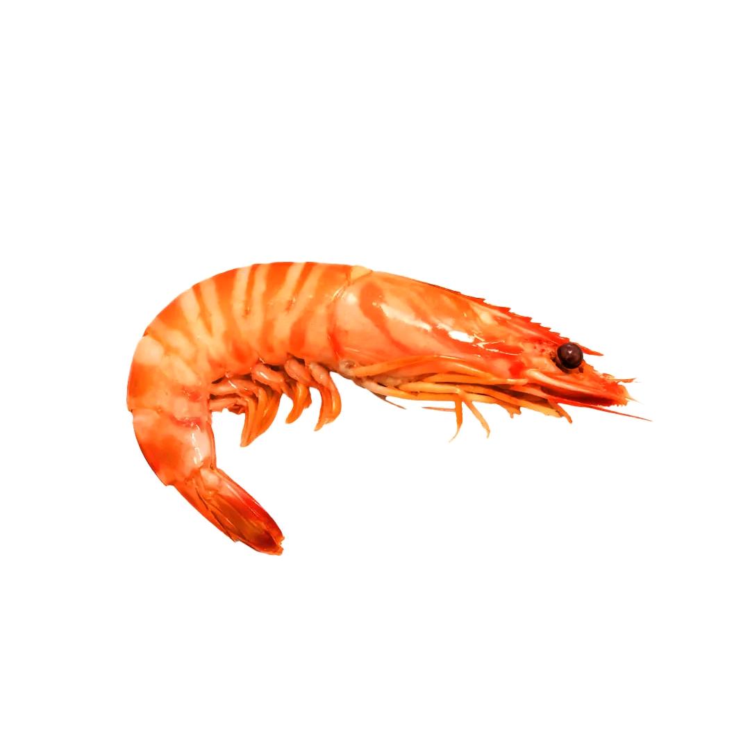 好好吃饭