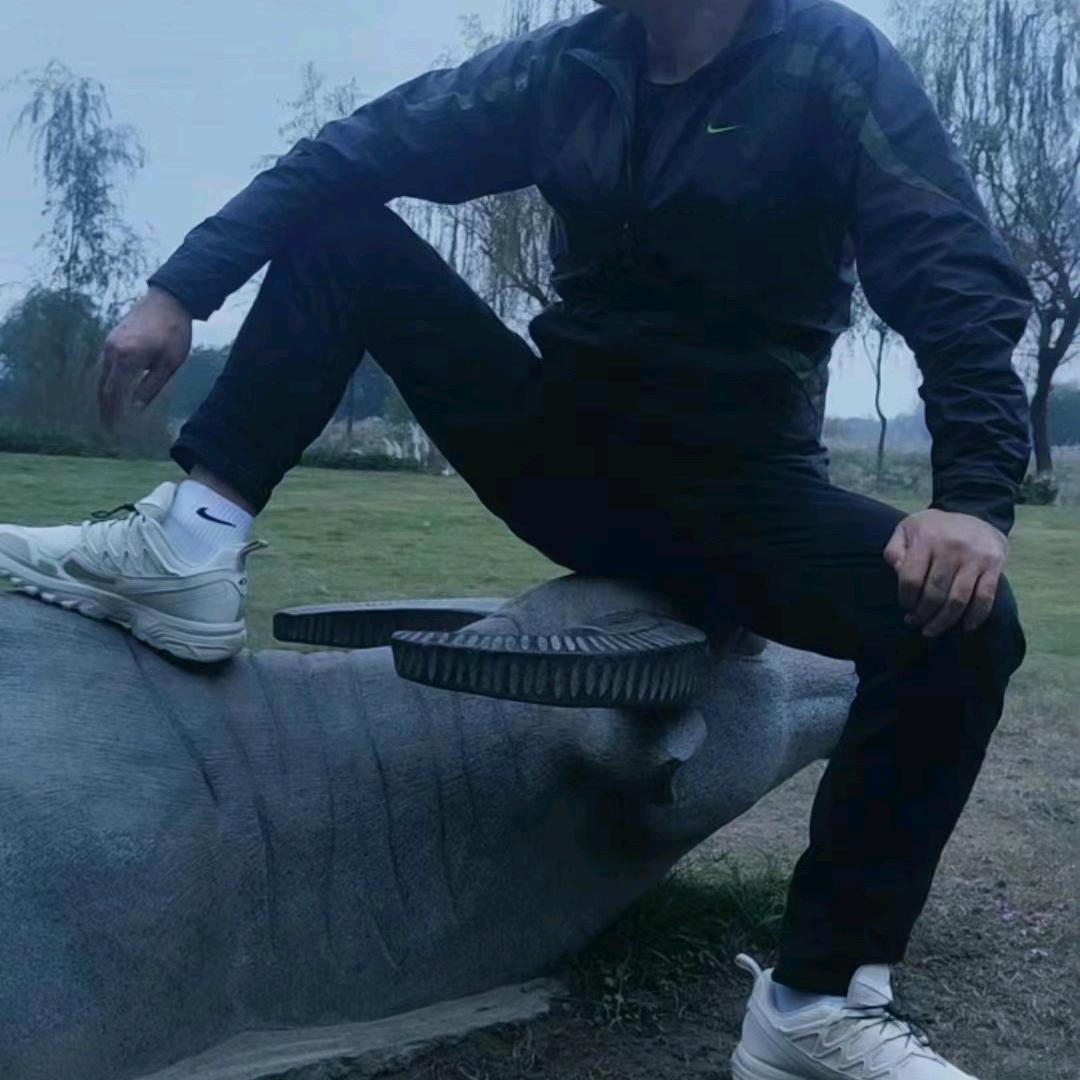 龙啸九天