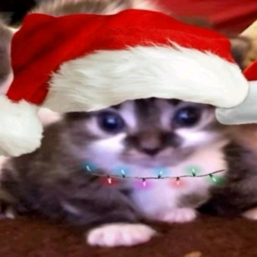 祈荧