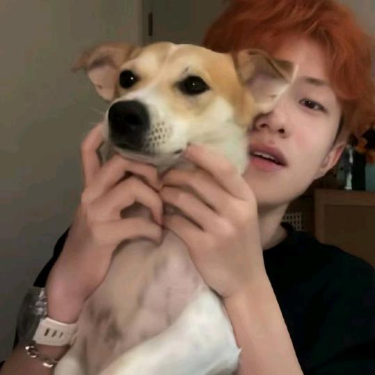 Lars的蟹黄堡🌾