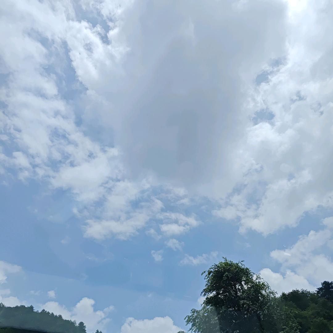 老齐哈哈哈