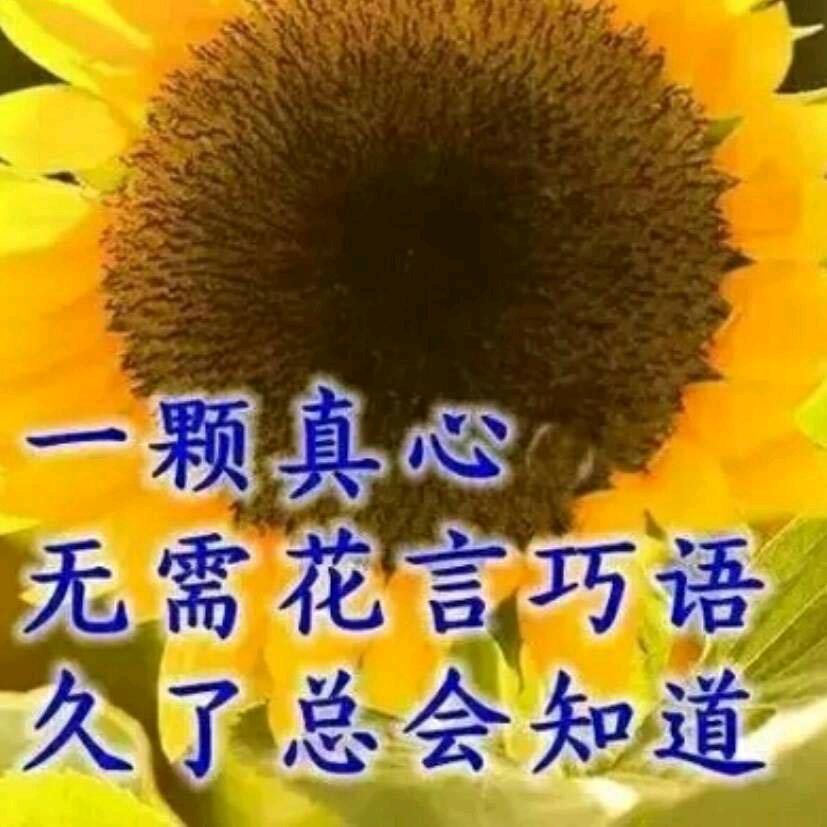独来独往
