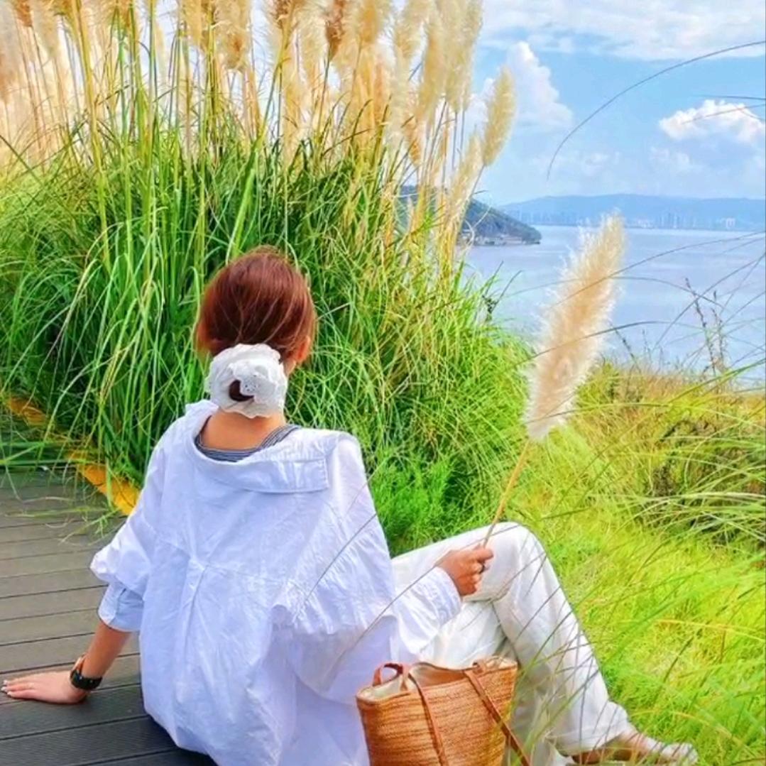 冰糖葫芦