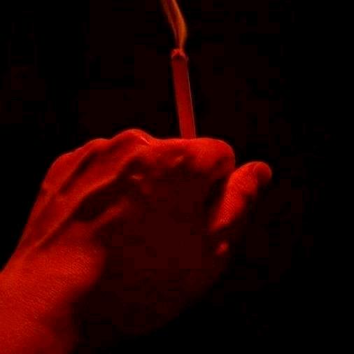 ᝰꫛꫀꪝ洋葱🍁
