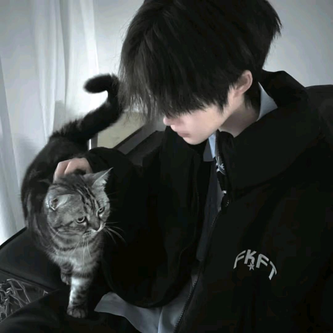 蒲公英