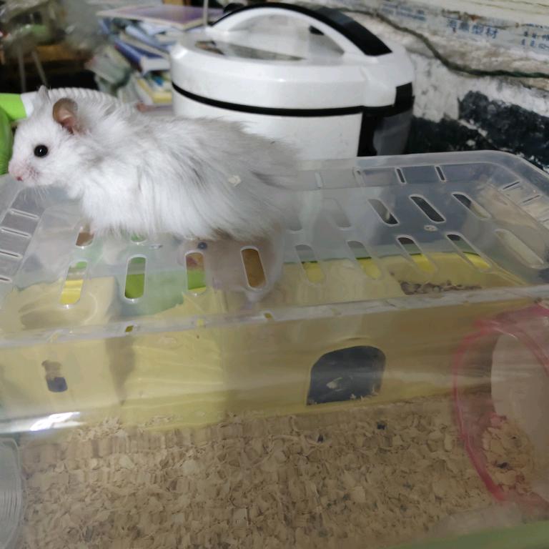 爱能改变一切