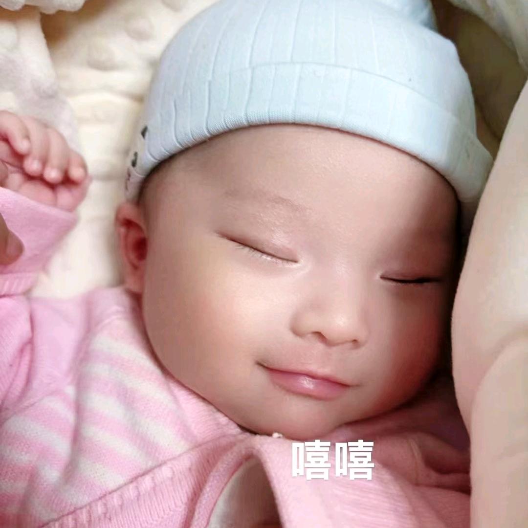 雨中疯燕