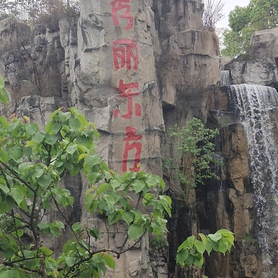亲姐