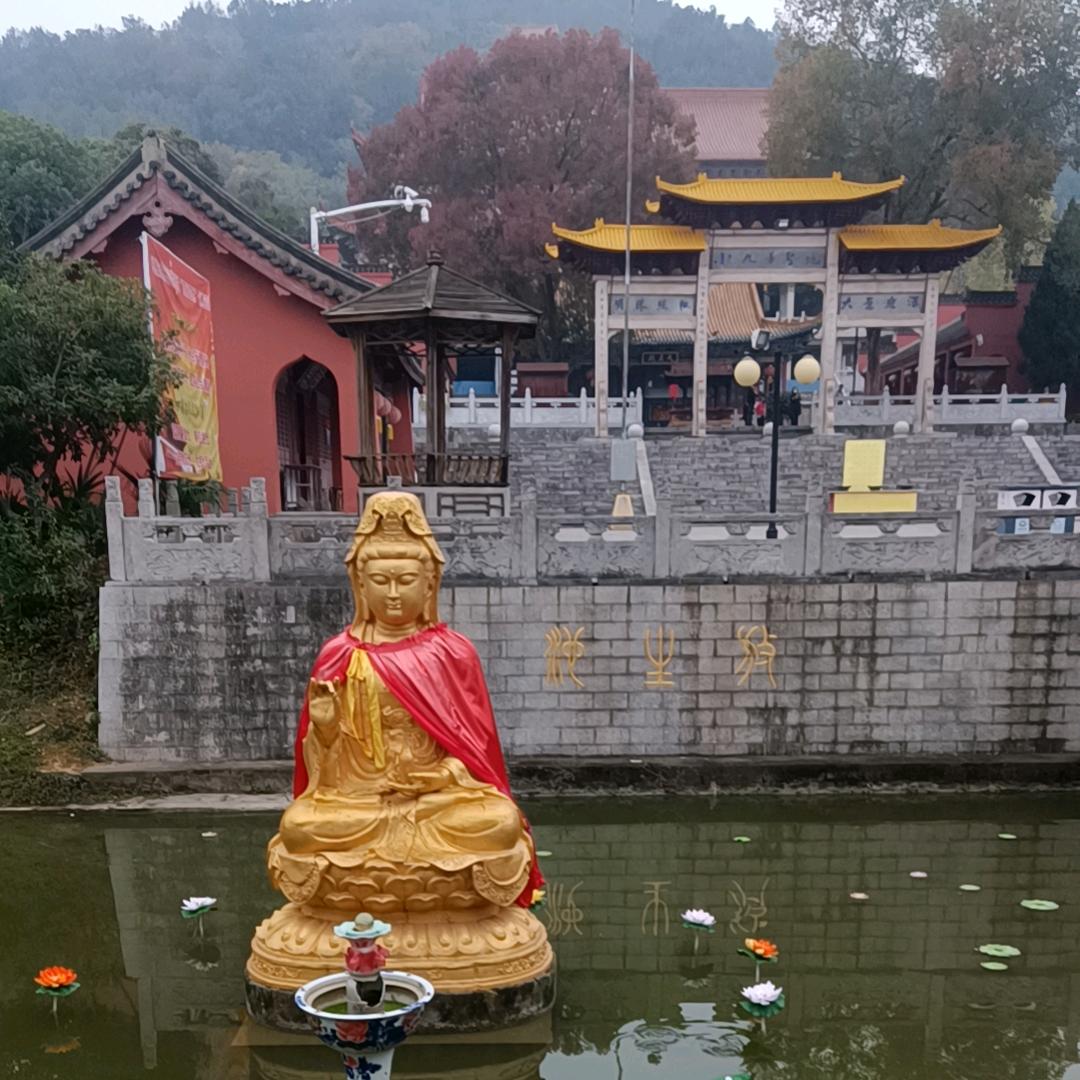壹玖