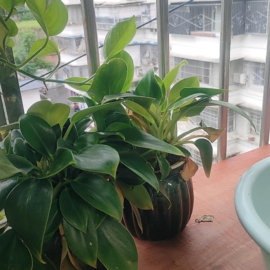 爱我的人在哪里