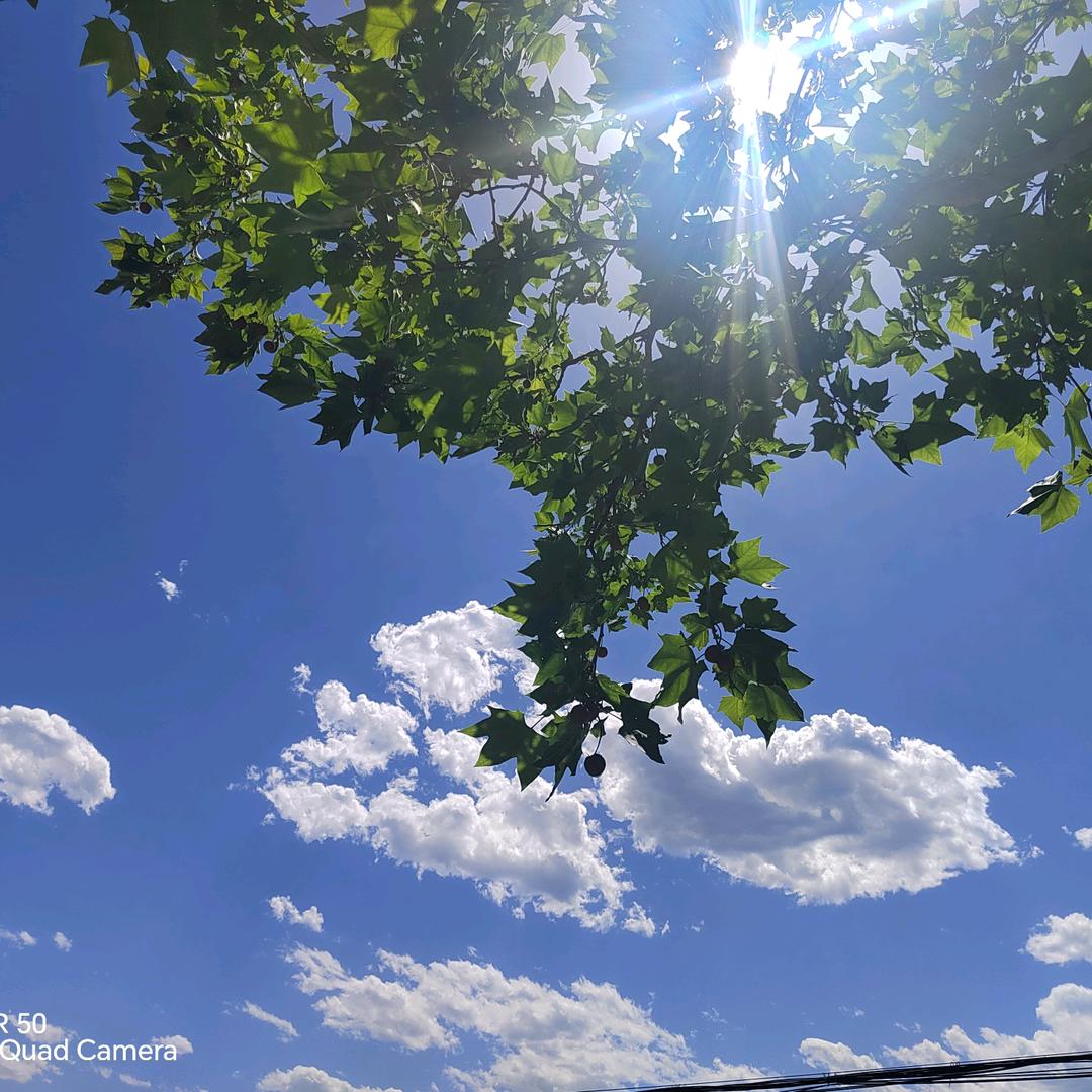 高考志愿填报咨询师清老师