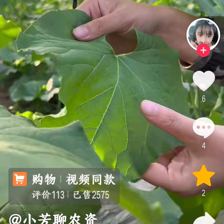 快乐