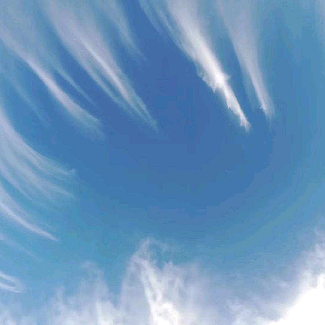 哈猪米的屁哥哥