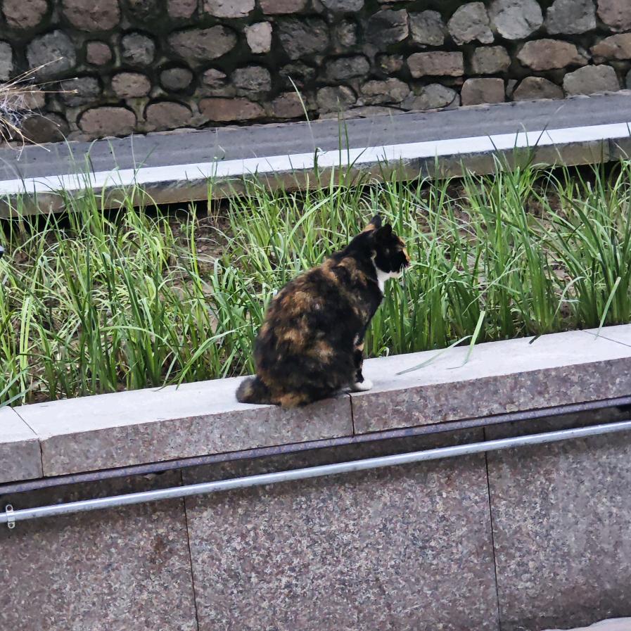 悠闲独自在