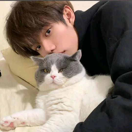 马卡巴卡外星人