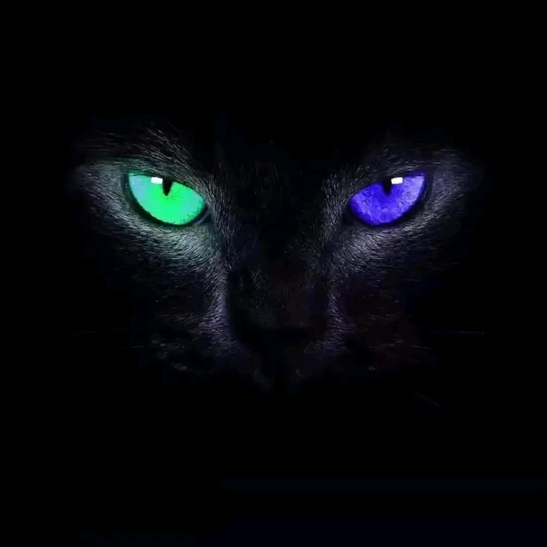 👻👻👻