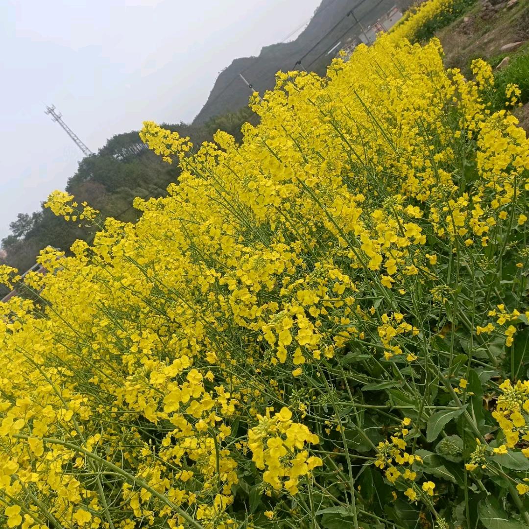 专业真空镀膜