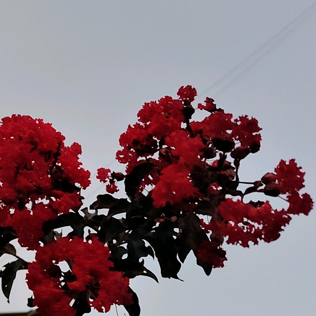 一切随ꪗꪊꪖꪀ